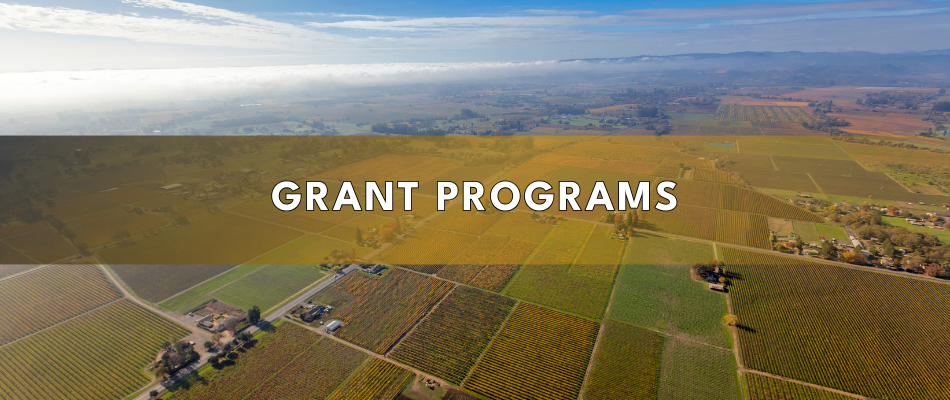 Grant Programs