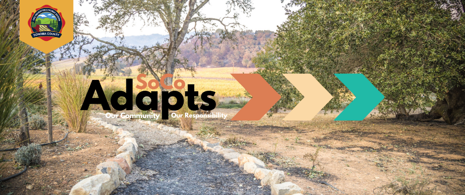 SoCo Adapts - Our Community, Our Responsibility