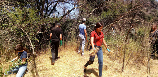 Wildfire Preparedness - students clearing brush