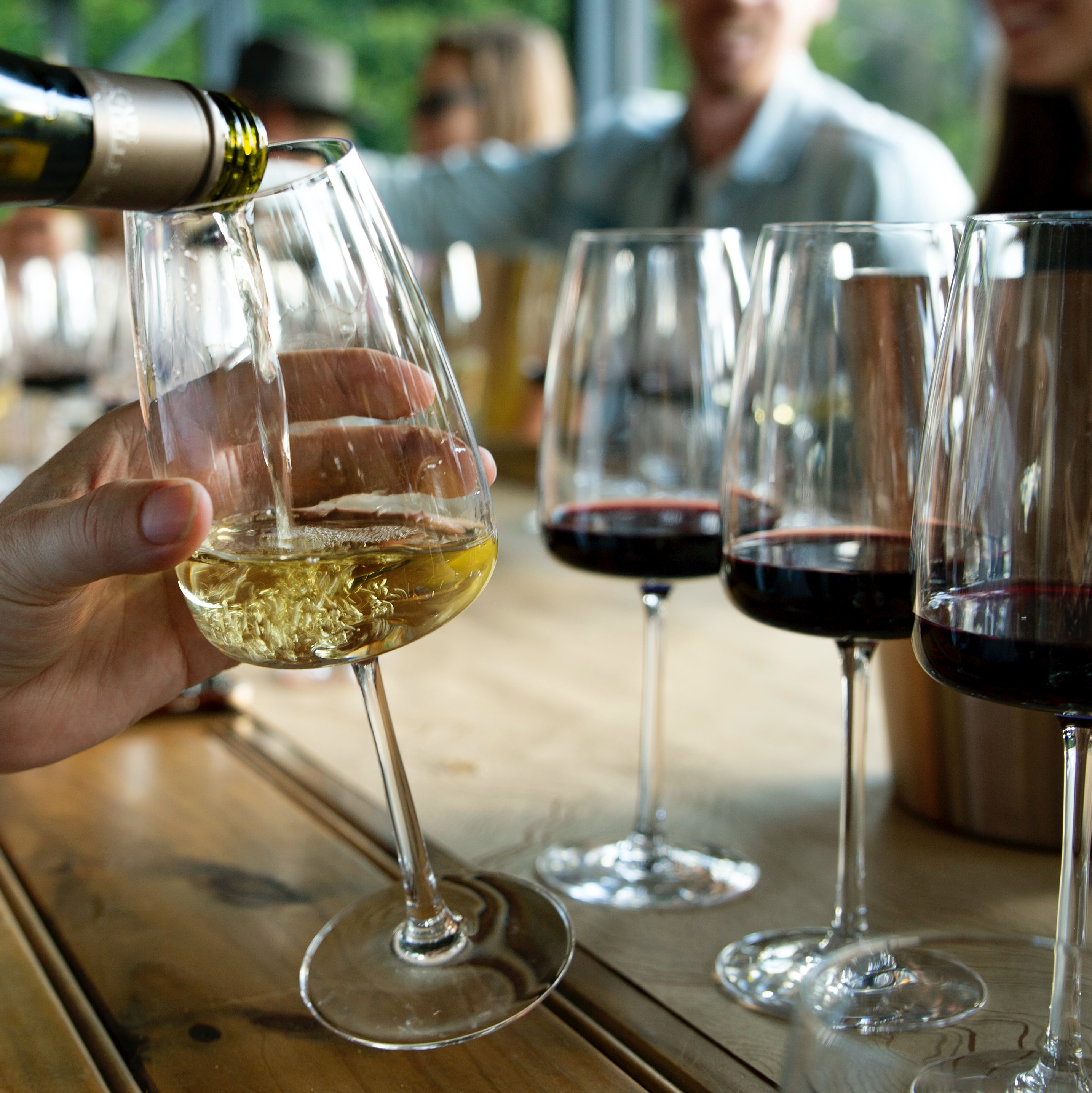 Wine Tasting