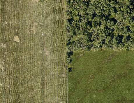 Aerial photo of vineyard, woodland and rangeland in the Santa Rosa Plain