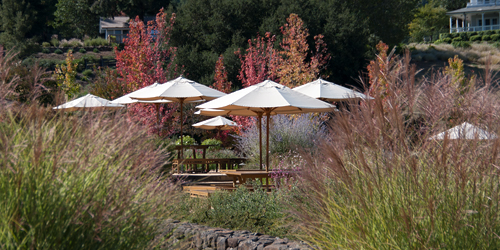 Winery Events Umbrellas in the Sun