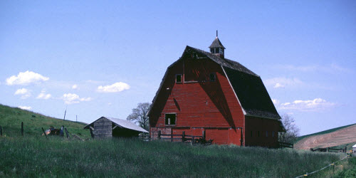 Barn Red 500