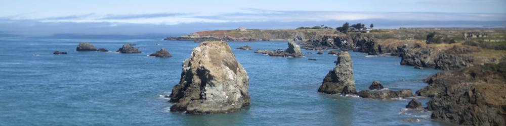 ocean and rocks