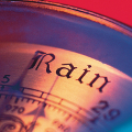rain gauge