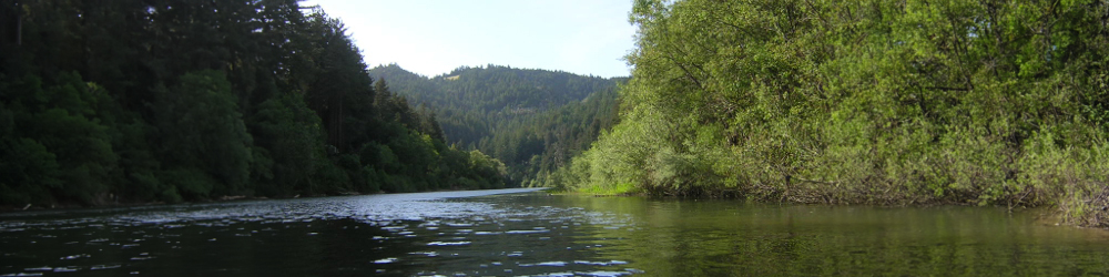 riparian waterway with trees on both sides