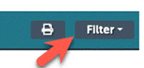 Filter button
