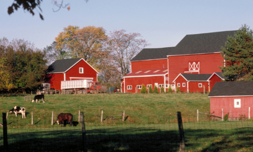 Agriculture Uses
